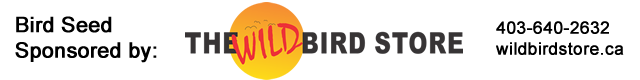 The Wild Bird Store